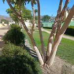 Urbanizacion Bahia, Mezquitilla, Al Lado De La Playa, El Horario De La Piscina Varia Segun Fechas *